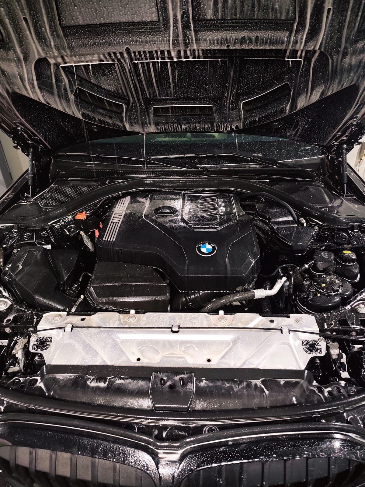 Detalhamento do compartimento do motor de BMW
